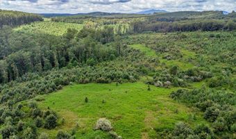 62- Acres Grandmas Hill Rd, Amherst, VA 24521