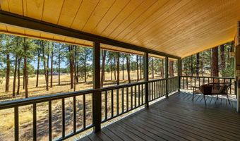 61 Co Rd 2266, Alpine, AZ 85920