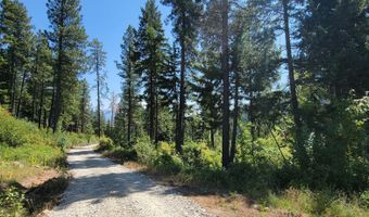 NNA Snowcat Lane, Bonners Ferry, ID 83805