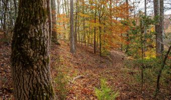 217 W Chapman Rd, Belton, SC 29627