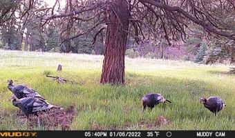 10643 CR 501, Bayfield, CO 81122