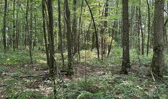 31 Oak Dr, Albright, WV 26519