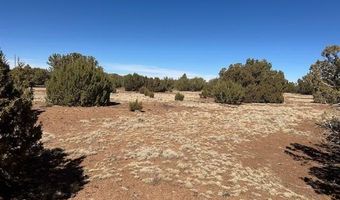 30 CR 8051 Rd, Concho, AZ 85924
