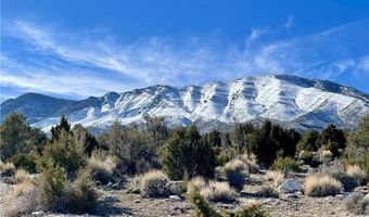 4 Camp Bonanza Rd, Cold Creek, NV 89124