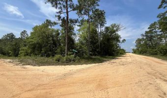 Holly Springs Avenue, Alford, FL 32420
