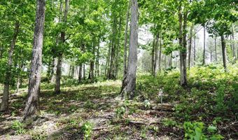 Lot 50 Shoreside Road, Double Springs, AL 35553