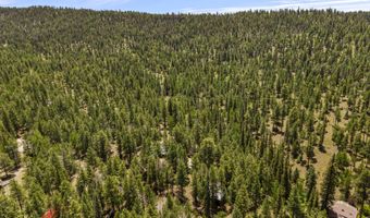 12 CR 2044, Alpine, AZ 85920
