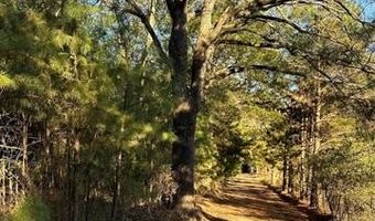 421041 E 1945 Ln, Antlers, OK 74523