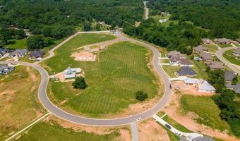 6869 Hilo Ave, Benton, AR 72019