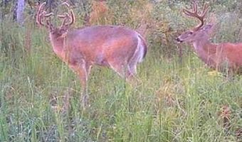 Off Hwy F, Annapolis, MO 63620