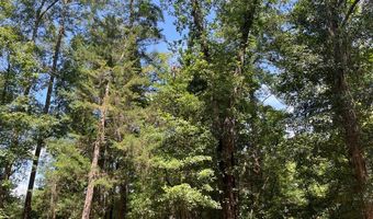 122 Whitehead Rd, Abbeville, AL 36310