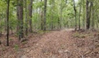 Double Pond Road, Blackville, SC 29817