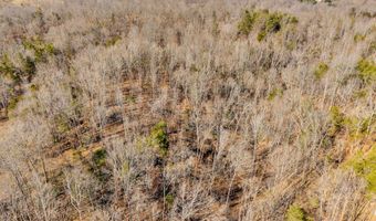 James Reeder Ln, Allons, TN 38541