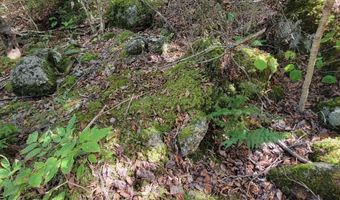 B-2BackLot Pioneer Path, Aurora, ME 04605