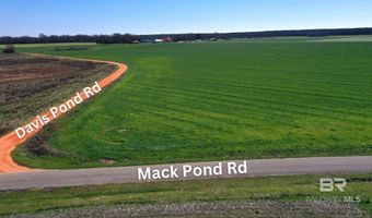Lot 14 Davis Pond Road, Atmore, AL 36502