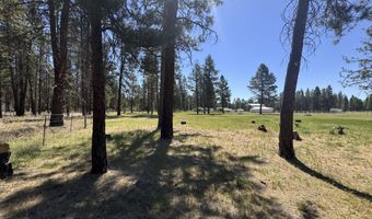 5536 Seagull Dr, Bonanza, OR 97623