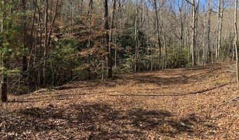 1834 Bristol Ave, Andrews, NC 28901