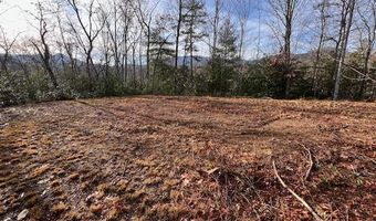 Tobacco Branch Road lot # 2, Almond, NC 28702