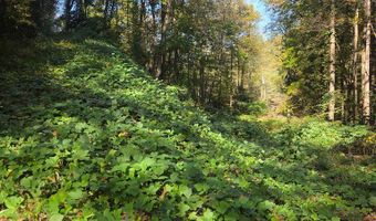 0 Lords Way, Andrews, NC 28901