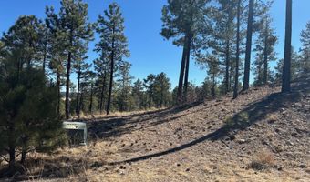 10 County Road 2193, Alpine, AZ 85920