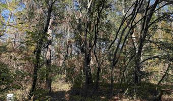 793 Puncheon Creek Dr, Andrews, SC 29510