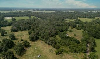 9 2 Acres CR 471, Teague, TX 75860