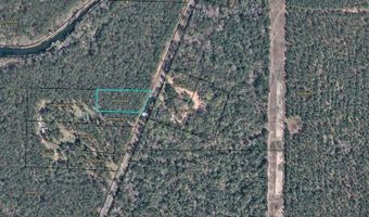 000 E River Rd, Bainbridge, GA 39817