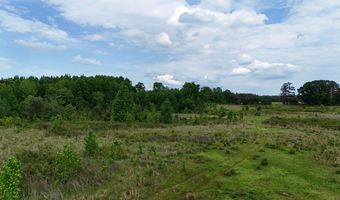 Beauty Hill Rd lot 4, Bethel Springs, TN 38315