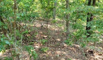 Sulphur Creek Rd off, Big Sandy, TN 38221