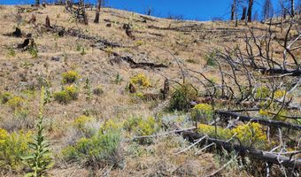 Nhn Plaindealer Lode Depot Hill Road, Boulder, MT 59632