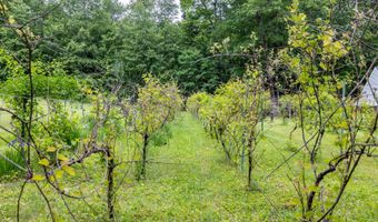 146 Old Sandown Rd, Chester, NH 03036