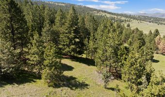 NHN Wild Horse View, Big Arm, MT 59910