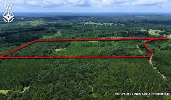 County Road 25, Banks, AL 36005