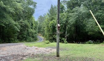 1551 Buckatunna Chicora Clara Rd, Buckatunna, MS 39322