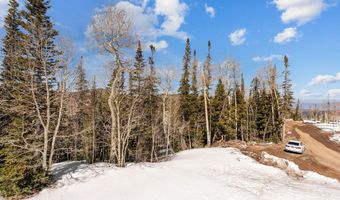 429 N Aoki Michi Rd, Brian Head, UT 84719