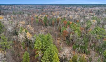 VL Wildwood Road, Alger, MI 48610