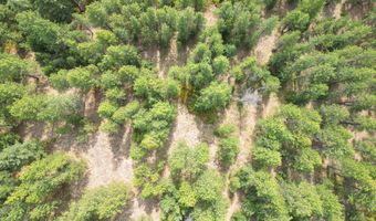 NNA USFS 2550 40 acres, Blanchard, ID 83804
