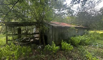 137 Shorter Rd, Braxton, MS 39044