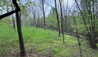 X Green Meadow Lane 5 Ac S, Ararat, NC 27007