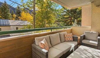 1020 E Hopkins Ave 9, Aspen, CO 81611