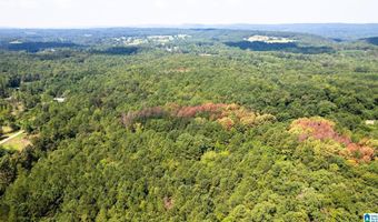 62 ACRES TONEY Dr 62 ACRES, Altoona, AL 35952