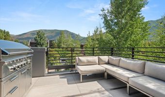 627 E Hopkins Ave 201, Aspen, CO 81611