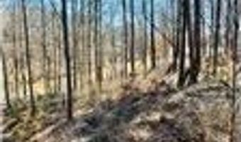 00 LOT 22 Waterside Dr, Abbeville, SC 29620