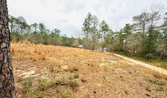 663 Lakeside Dr, Carriere, MS 39426