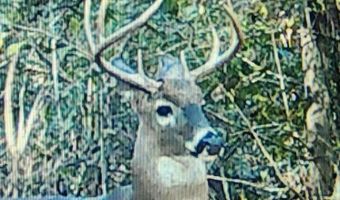 1880 Booster Club Rd, Bainbridge, GA 39819