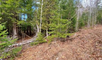 Pioneer Path lot 5, Aurora, ME 04408