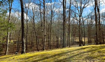 150 Harrison Mill Rd, Benton, TN 37307