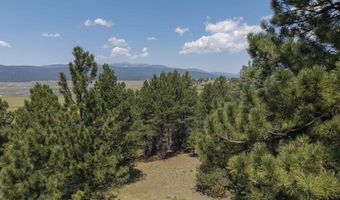 9 Buckskin Rd, Angel Fire, NM 87710
