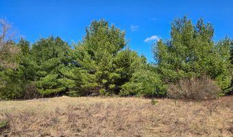 ON FARMING RD N lot 2, Arbor Vitae, WI 54568