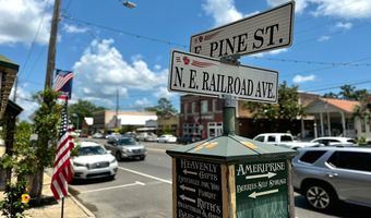 24060 Conservation Way Ave Plan: Eastwood, Ponchatoula, LA 70454